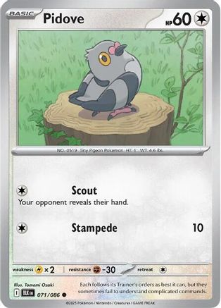 Pidove 071/086 - Reverse Holofoil SV Black Bolt - Common